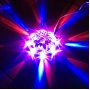 Cветодиодная система "Вспышка неона" Perfeo PL-07 star