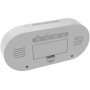 Метеостанция Ritmix CAT-110, белый