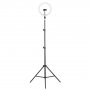 Кольцевая LED лампа Camelion KD-810F C02 LED, штатив 70-200 см, d=26 см, держатель д/телефона, пульт