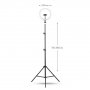 Кольцевая LED лампа Camelion KD-810F C02 LED, штатив 70-200 см, d=26 см, держатель д/телефона, пульт