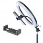 Кольцевая LED лампа Camelion KD-810F C02 LED, штатив 70-200 см, d=26 см, держатель д/телефона, пульт