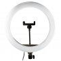 Кольцевая LED лампа WALKER WLR-3350R, RGB, 33 см + штатив 200 см (WLTR-21)