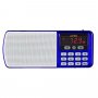 i120-BL Perfeo мини-аудио ЕГЕРЬ FM+ (70-108МГц), MP3, USB, синий
