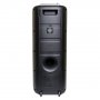 Акустические колонки Nakatomi/DIALOG GS-59, 120 Вт (USB / SD / FM / Bluetooth / караоке) микрофон беспров.