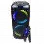 Акустические колонки Nakatomi/DIALOG GS-30, 30Вт (USB / SD / FM / Bluetooth / караоке) микрофон беспров.