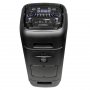 Акустические колонки Nakatomi GS-50, 90Вт, USB/SD/FM/Bluetooth/караоке + микрофон беспров.
