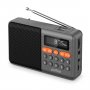 PF_D0576 Perfeo радиоприемник цифровой Турист FM 87.5-108мГц/MP3/ питание USB или 18650/ серый
