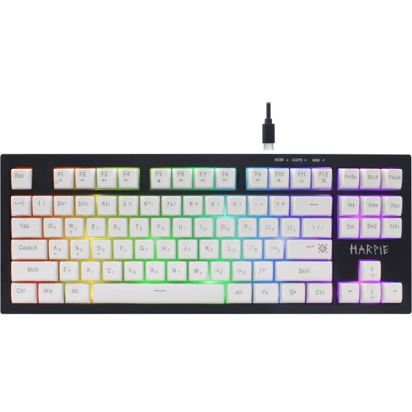 Клавиатура проводная игровая Defender Harpie GK-401 RU, 87кн+FN, 1,5м, радуж. подсветка, чёрно-белая
