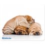 Коврик для мыши Silk 230x190x1.6 мм, 10 видов Defender