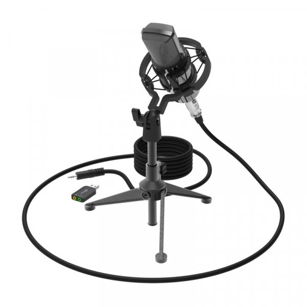 Микрофон RDM-160 Ritmix конденсаторный, на штативе-подставке, чёрный
