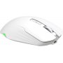 Мышь беспроводная игровая Defender Whisper GM-209 3в1, RGB, 7 кнопок, 400 mAh, 7200 dpi, белая