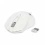 Мышь беспроводная Smartbuy SBM-356AG-BW Blue/White