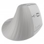 Мышь беспроводная Smartbuy V30, Dual Bluetooth + USB, вертикальная