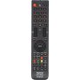 Пульт Huayu для TV RM-L1098+X корпус ER-31607R универсальный пульт (NETFLIX)